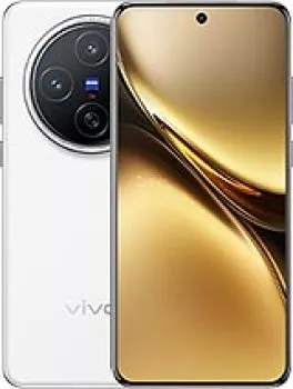 Vivo X300