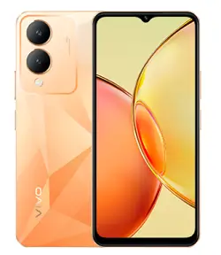 Vivo V17s